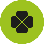 experiencia laboral irlanda